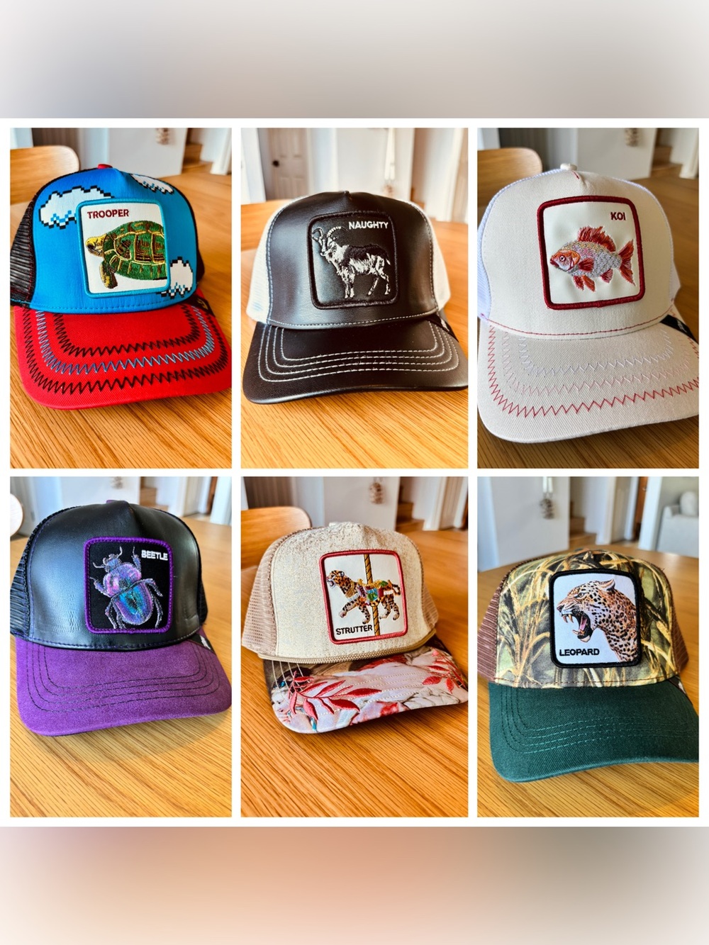 Random Mixed Animal Patch Snapback Trucker Hat-Set of 5